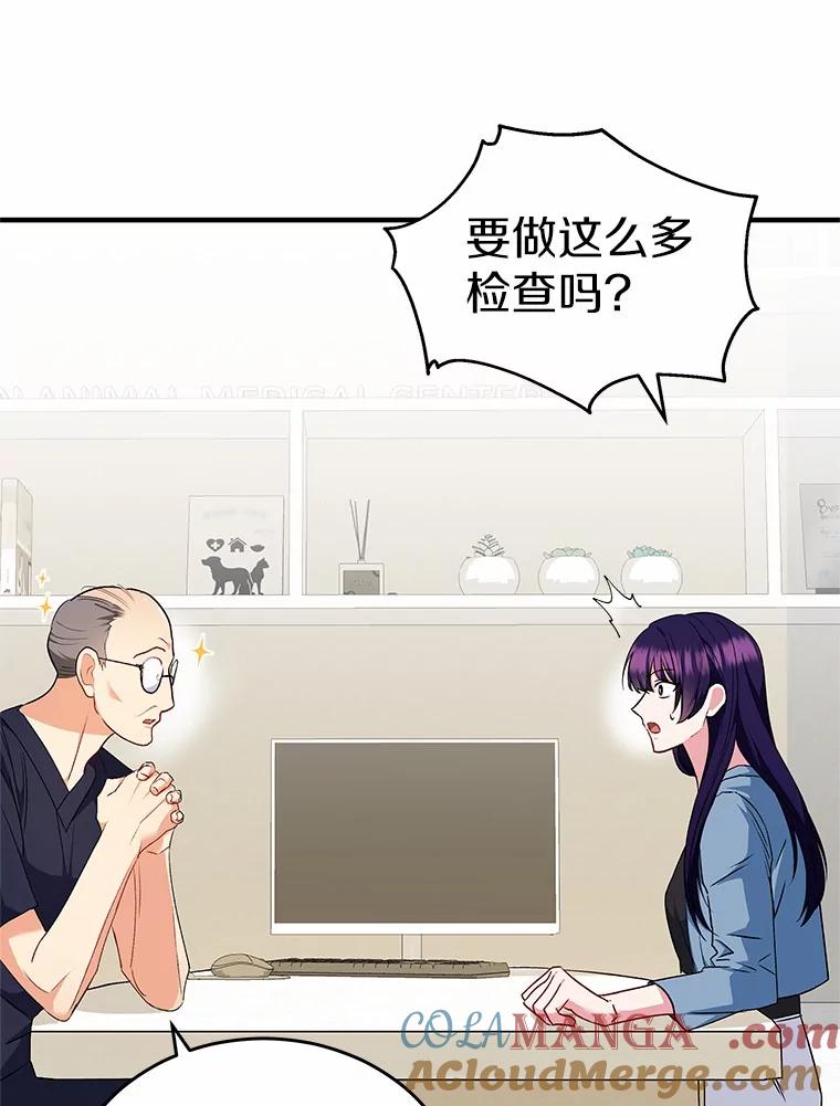《你好？兽医先生！》4.豆腐 第9页