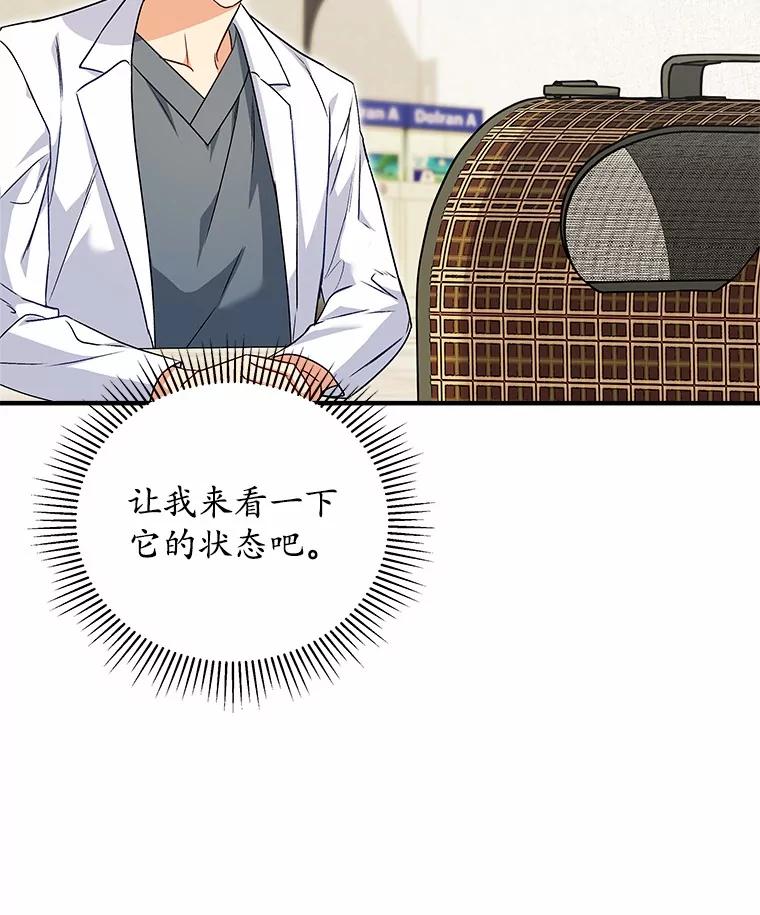《你好？兽医先生！》4.豆腐 第48页