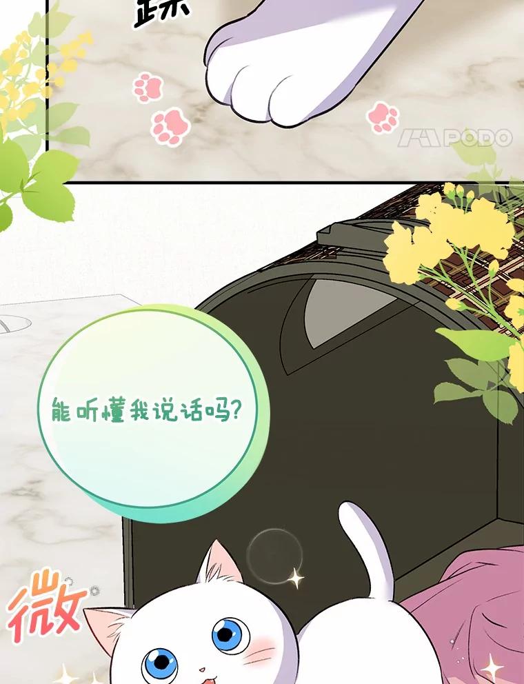 《你好？兽医先生！》4.豆腐 第64页