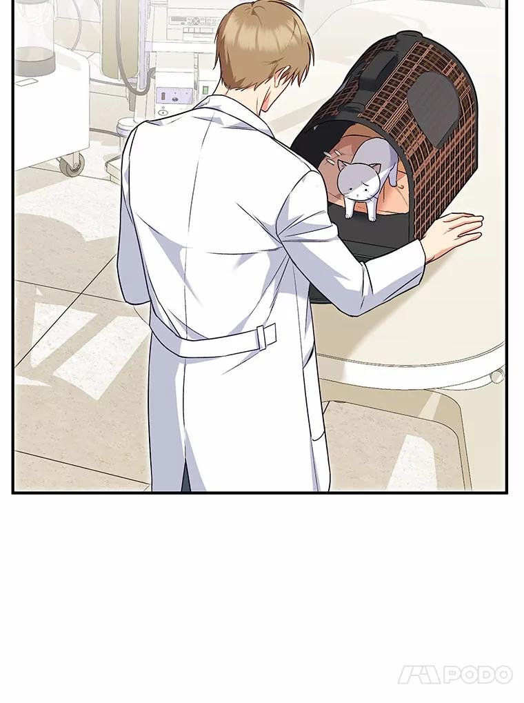 《你好？兽医先生！》5.致命礼物 第52页