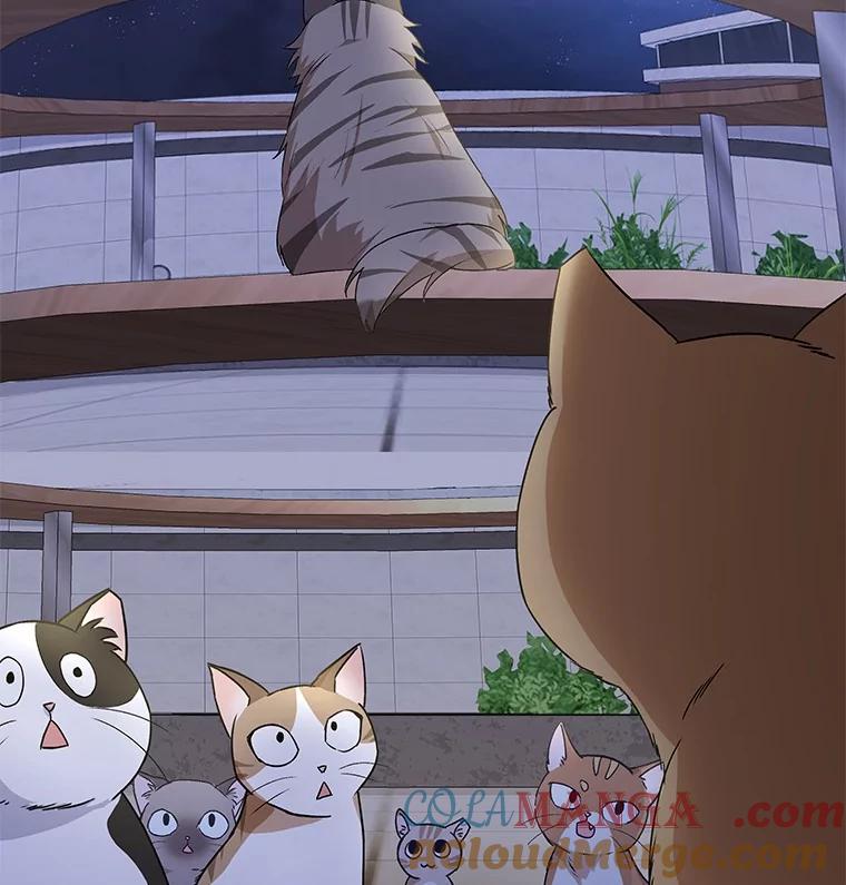 《你好？兽医先生！》5.致命礼物 第133页