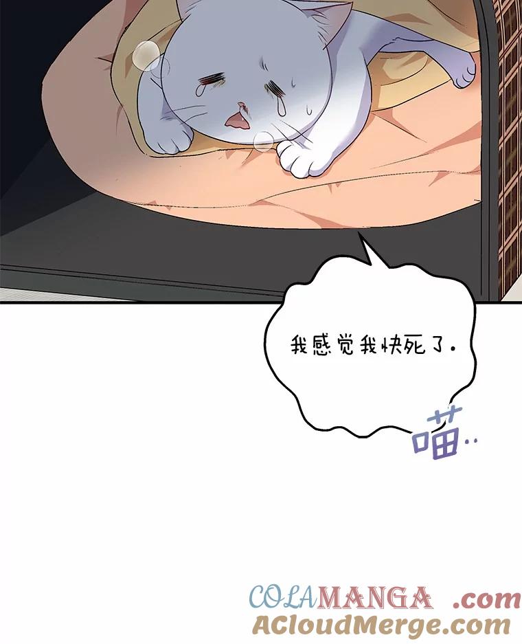 《你好？兽医先生！》5.致命礼物 第45页