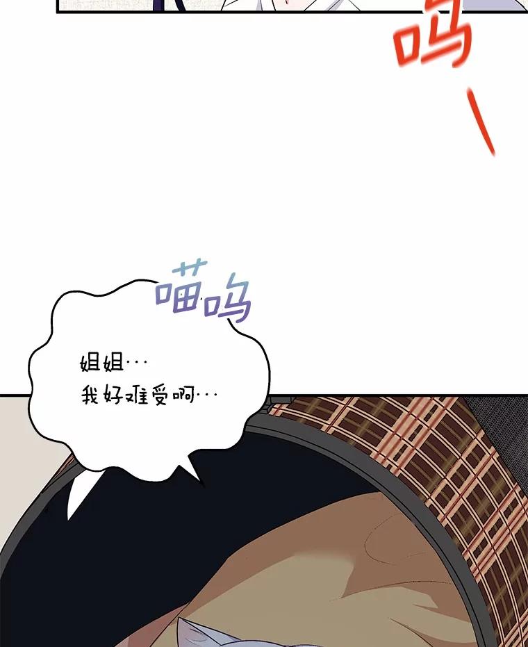 《你好？兽医先生！》5.致命礼物 第44页