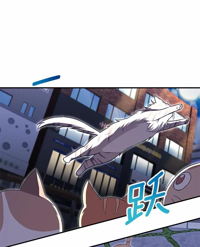 《你好？兽医先生！》5.致命礼物 第139页