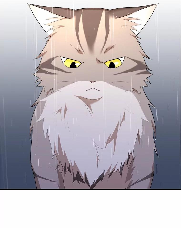 《你好？兽医先生！》6.银雨 第115页