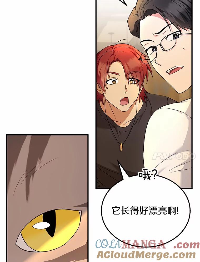 《你好？兽医先生！》6.银雨 第57页