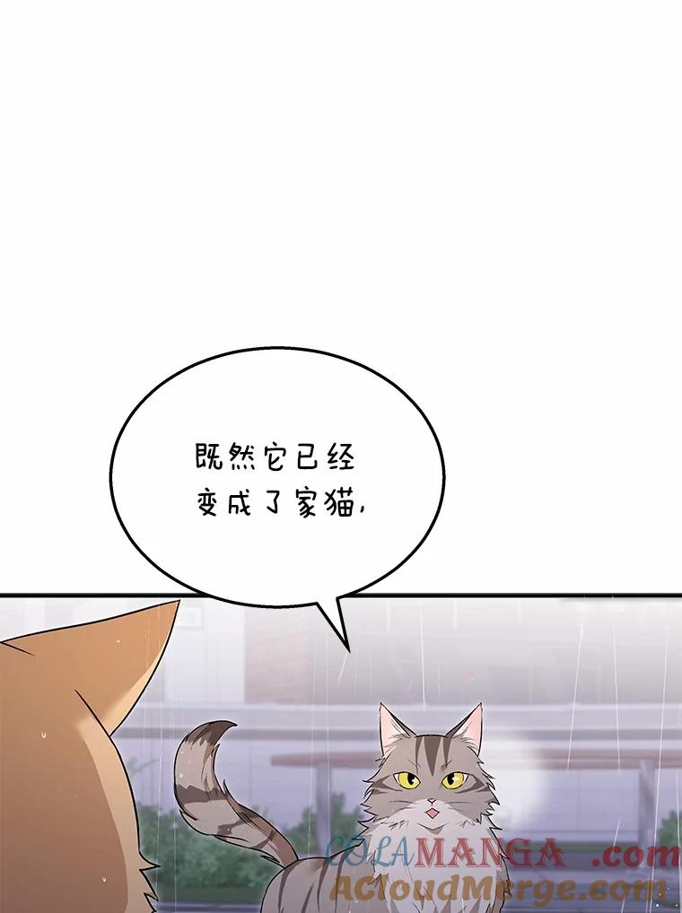 《你好？兽医先生！》6.银雨 第105页