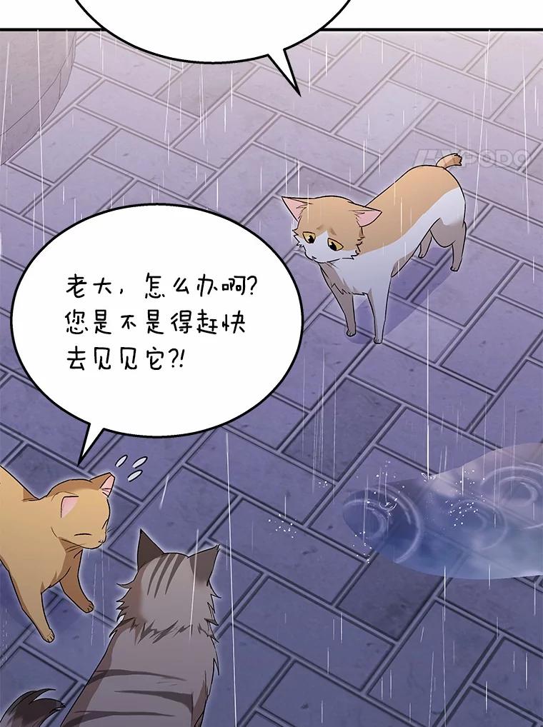 《你好？兽医先生！》6.银雨 第107页