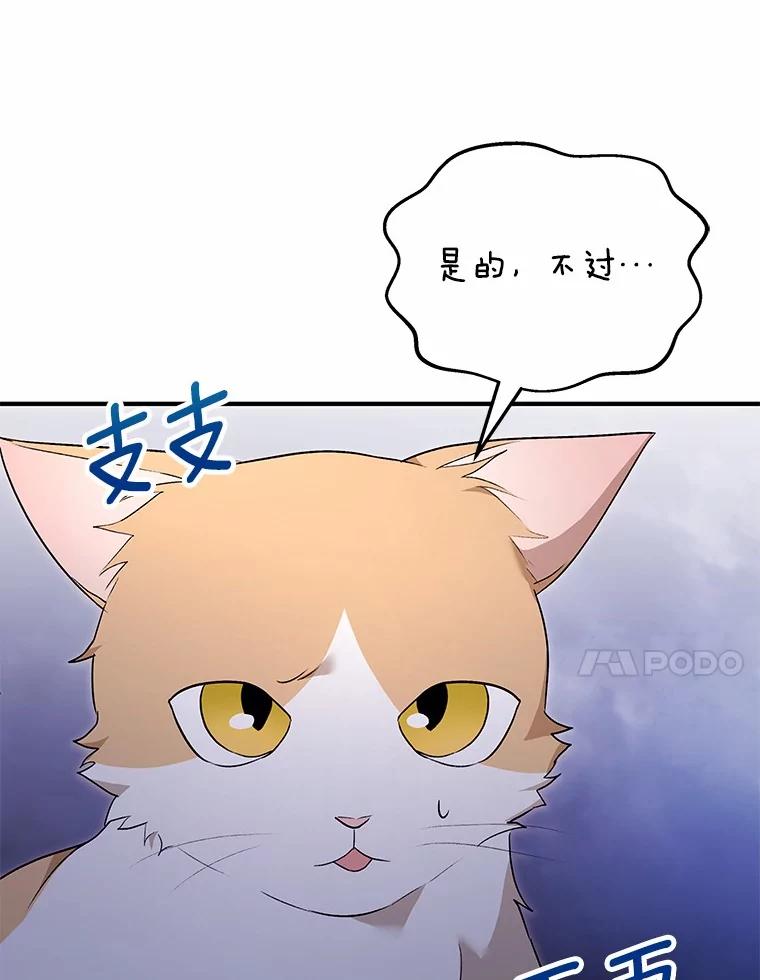 《你好？兽医先生！》6.银雨 第100页