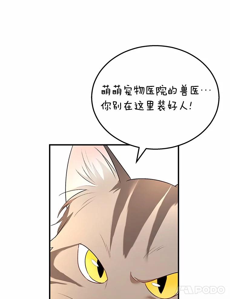 《你好？兽医先生！》6.银雨 第74页