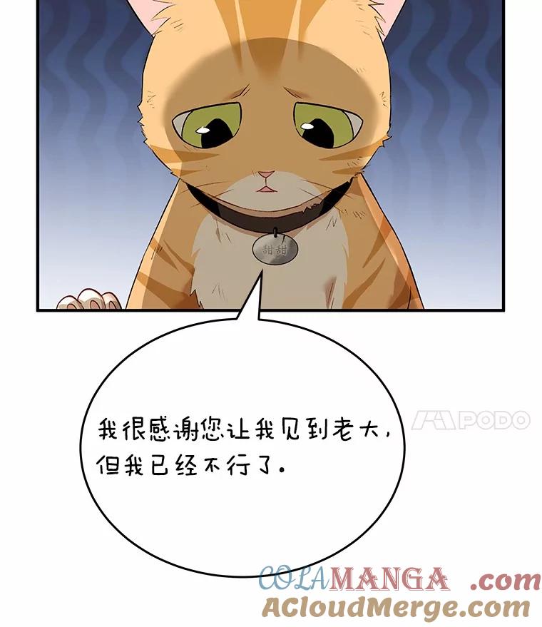 《你好？兽医先生！》7.小流浪甜甜 第129页
