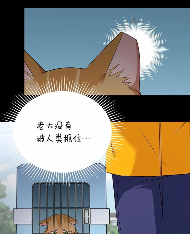 《你好？兽医先生！》7.小流浪甜甜 第72页