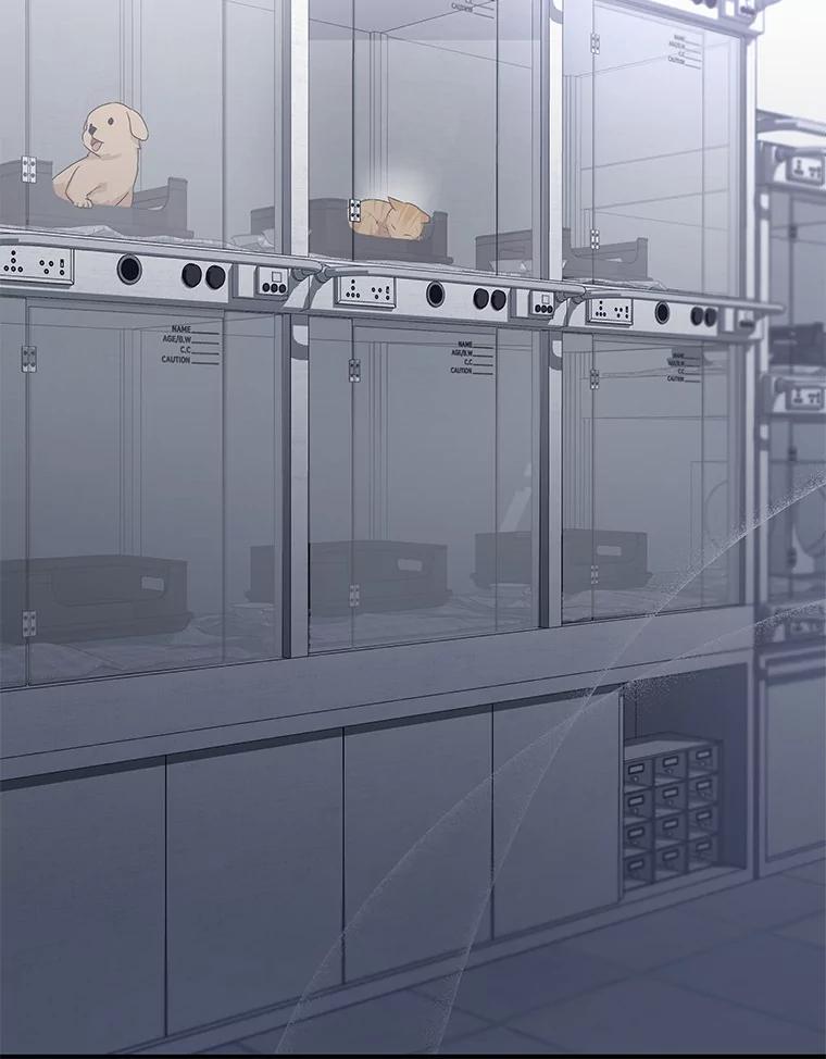 《你好？兽医先生！》7.小流浪甜甜 第22页