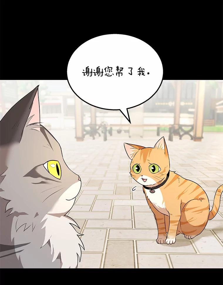 《你好？兽医先生！》7.小流浪甜甜 第58页