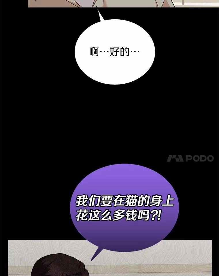 《你好？兽医先生！》7.小流浪甜甜 第102页