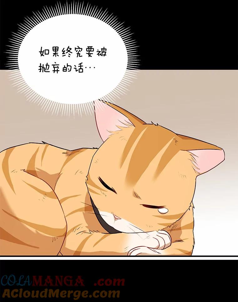 《你好？兽医先生！》7.小流浪甜甜 第113页