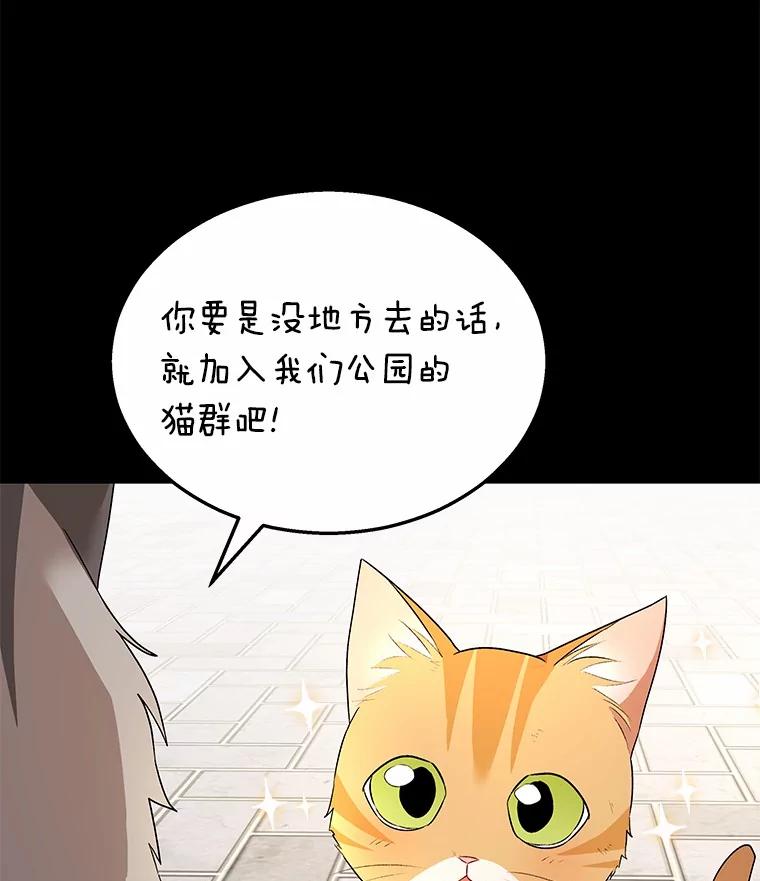 《你好？兽医先生！》7.小流浪甜甜 第62页
