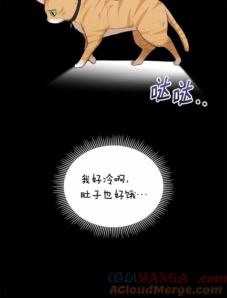 《你好？兽医先生！》7.小流浪甜甜 第45页