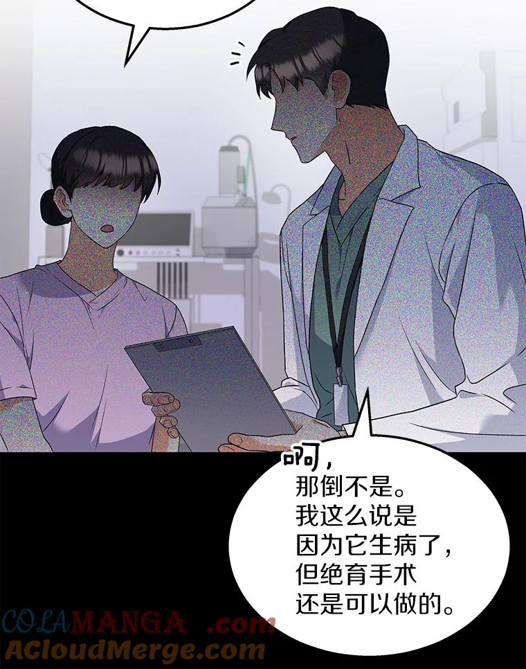 《你好？兽医先生！》7.小流浪甜甜 第29页