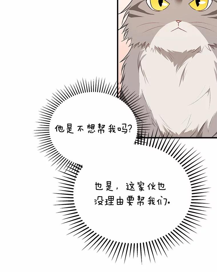 《你好？兽医先生！》7.小流浪甜甜 第10页