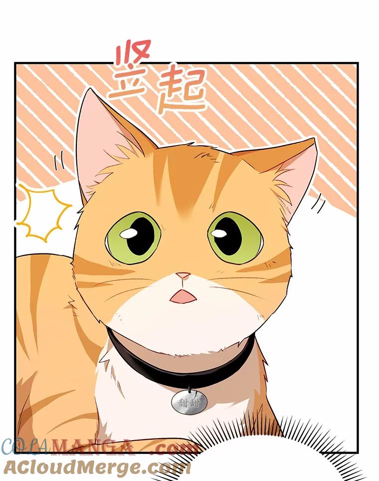 《你好？兽医先生！》7.小流浪甜甜 第117页