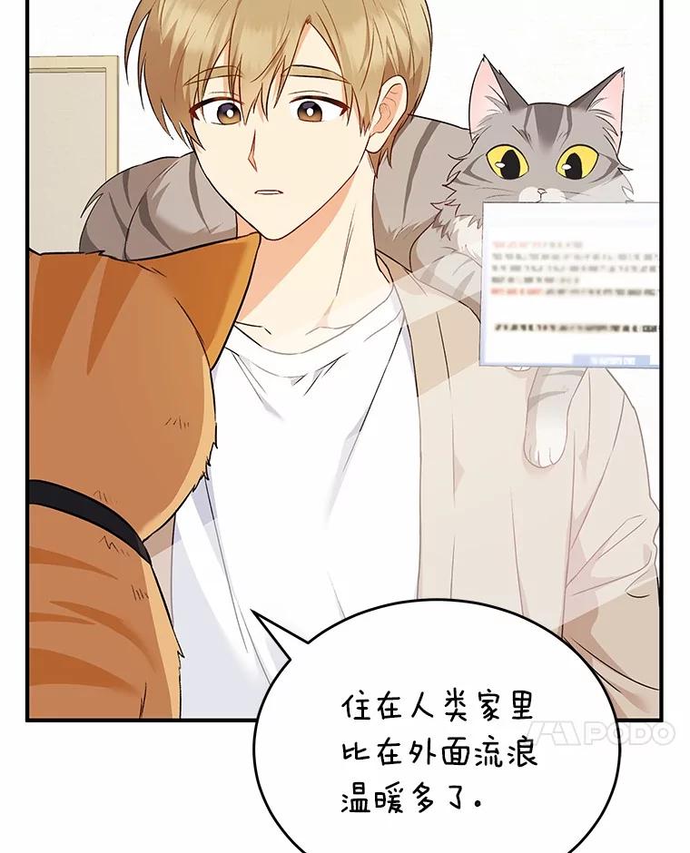 《你好？兽医先生！》7.小流浪甜甜 第136页