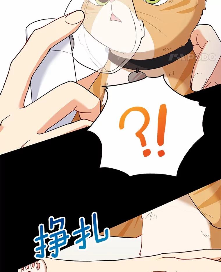 《你好？兽医先生！》7.小流浪甜甜 第92页