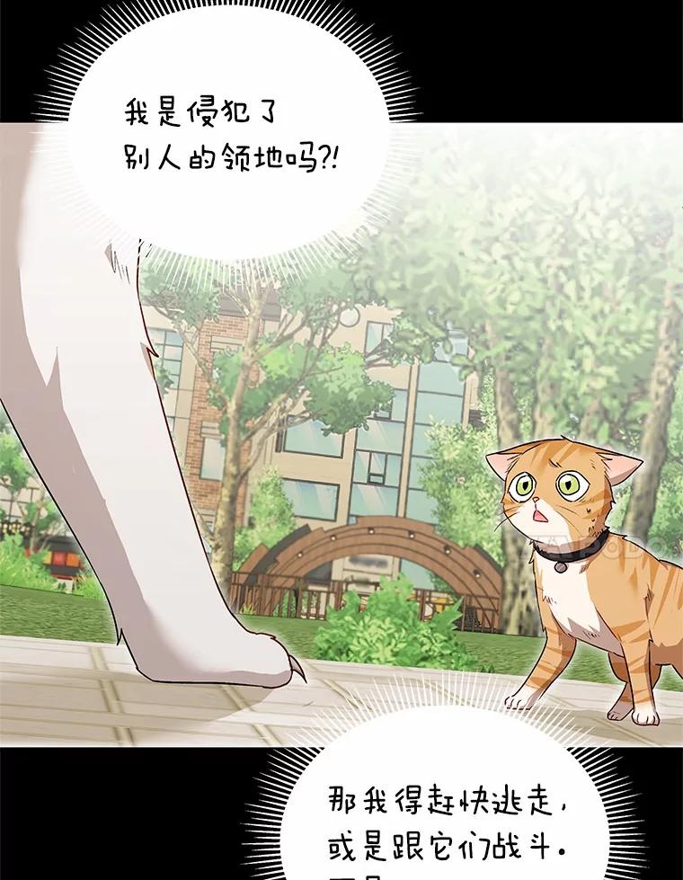 《你好？兽医先生！》7.小流浪甜甜 第50页