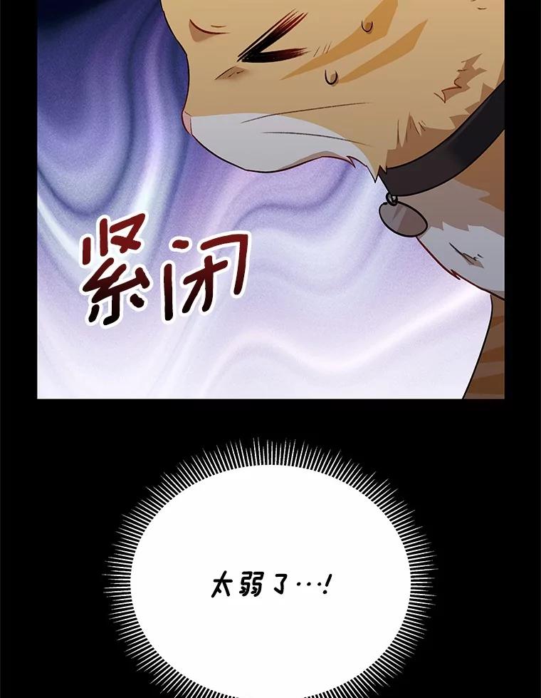 《你好？兽医先生！》7.小流浪甜甜 第52页