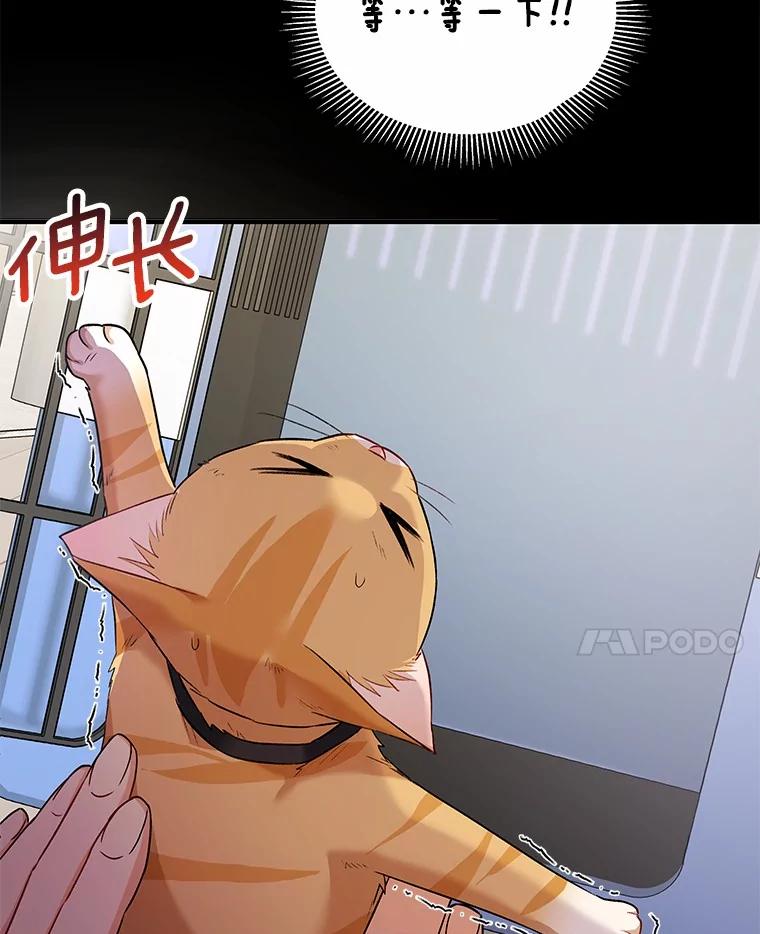 《你好？兽医先生！》7.小流浪甜甜 第95页