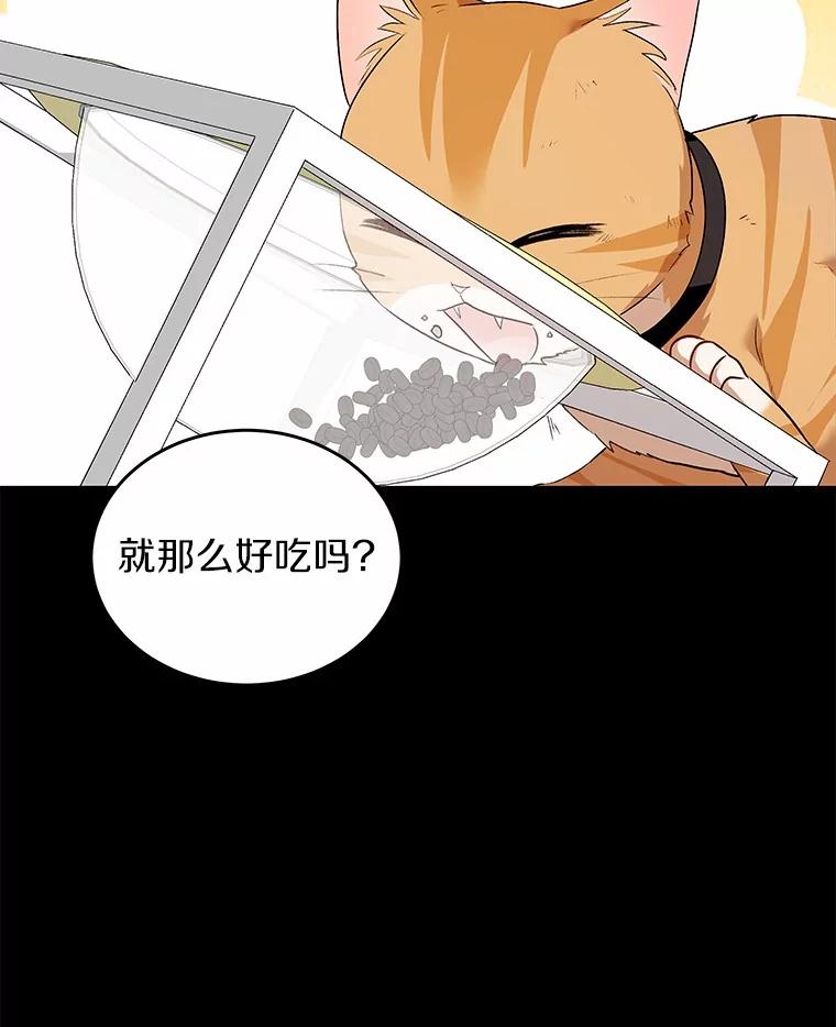 《你好？兽医先生！》7.小流浪甜甜 第84页