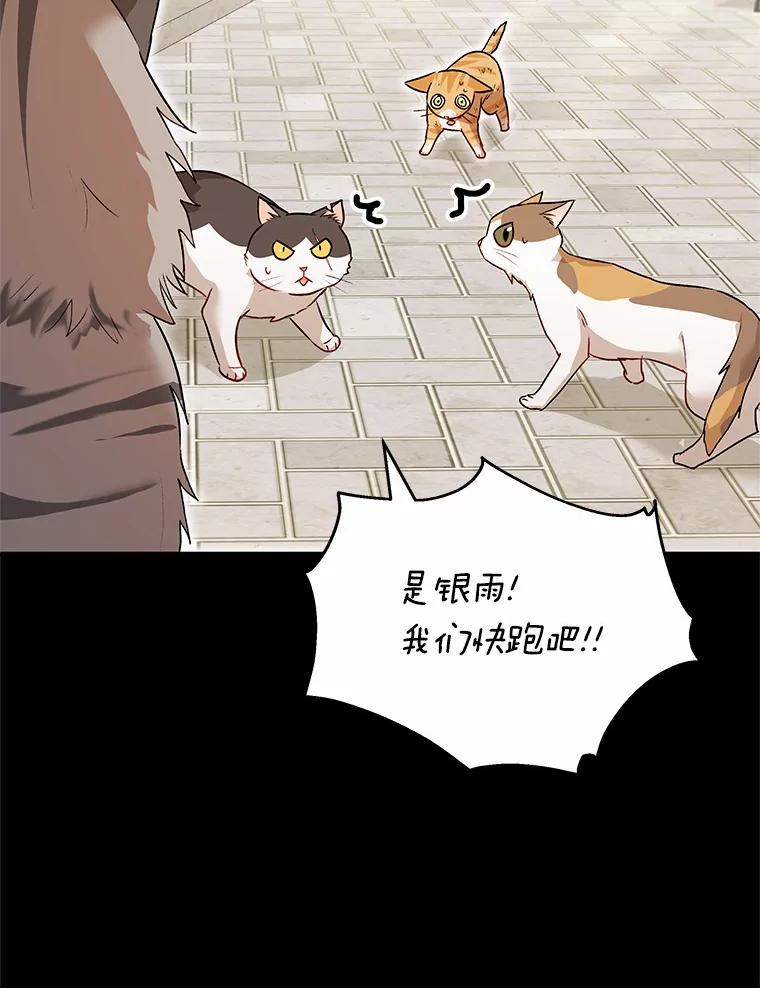 《你好？兽医先生！》7.小流浪甜甜 第55页
