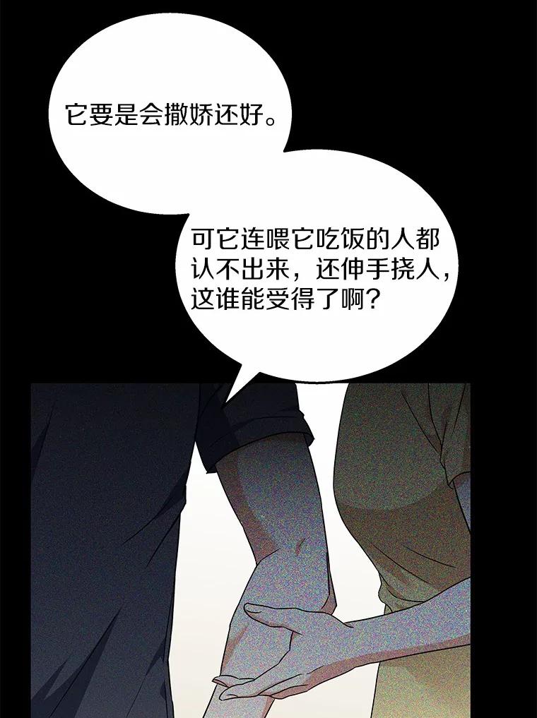 《你好？兽医先生！》7.小流浪甜甜 第38页