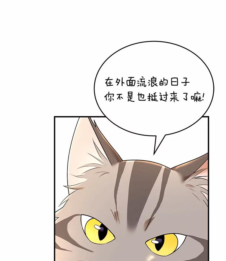 《你好？兽医先生！》7.小流浪甜甜 第132页
