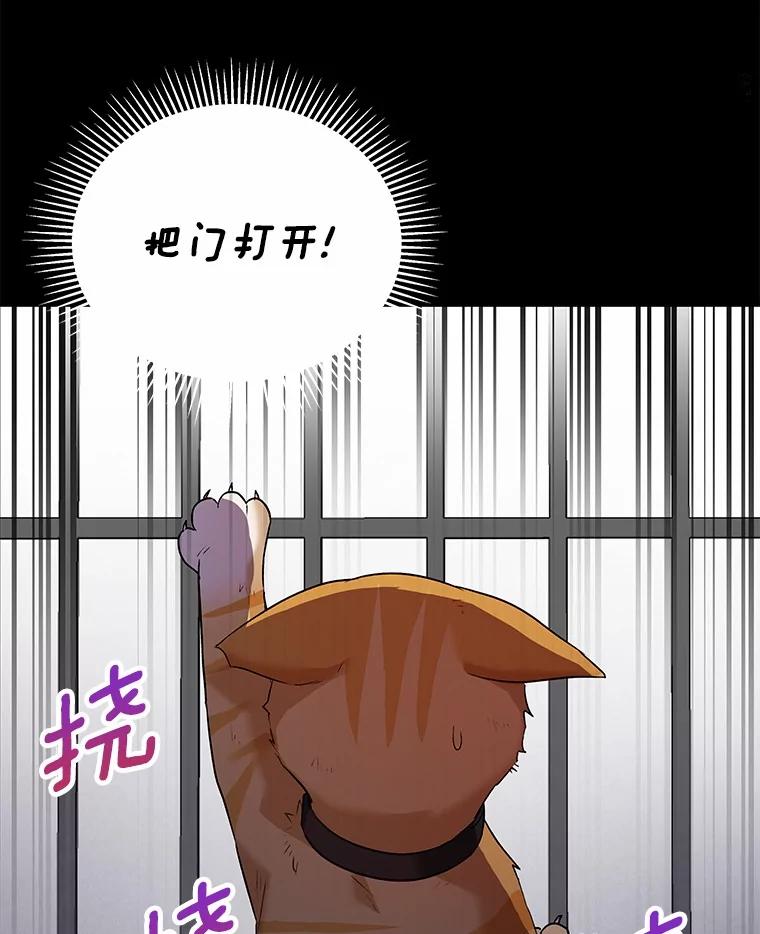 《你好？兽医先生！》7.小流浪甜甜 第98页