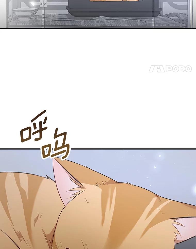《你好？兽医先生！》7.小流浪甜甜 第24页