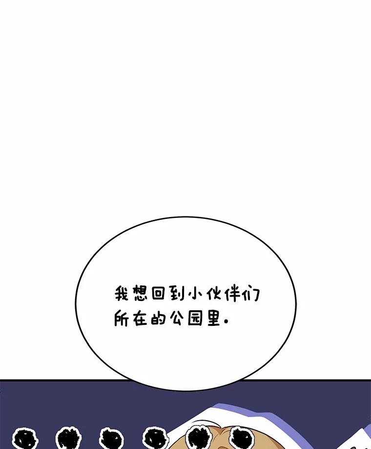《你好？兽医先生！》7.小流浪甜甜 第139页