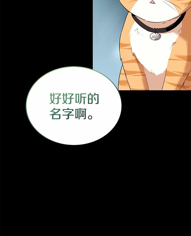 《你好？兽医先生！》7.小流浪甜甜 第79页