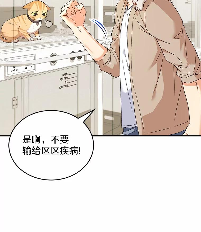 《你好？兽医先生！》7.小流浪甜甜 第131页