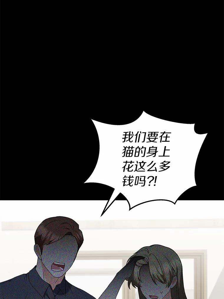 《你好？兽医先生！》7.小流浪甜甜 第36页