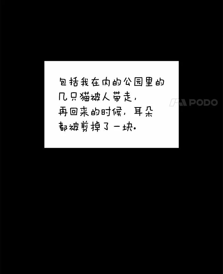 《你好？兽医先生！》7.小流浪甜甜 第71页