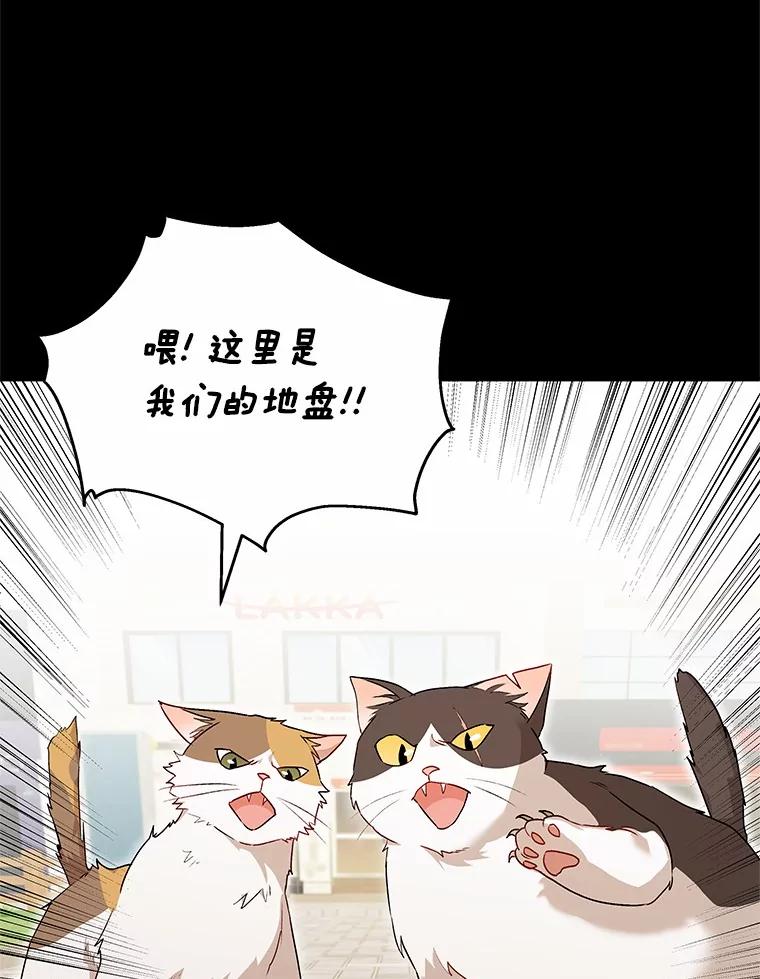 《你好？兽医先生！》7.小流浪甜甜 第48页