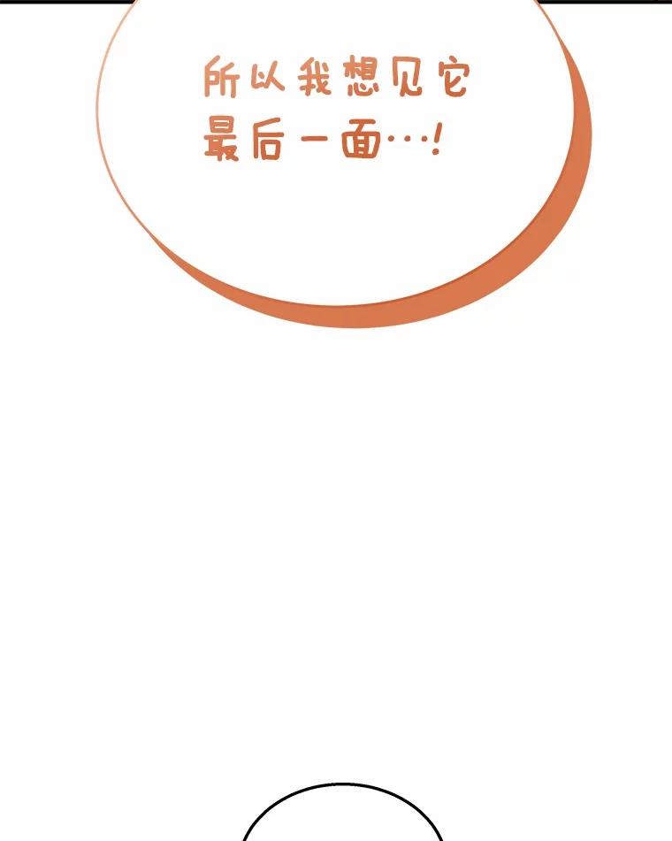 《你好？兽医先生！》7.小流浪甜甜 第8页
