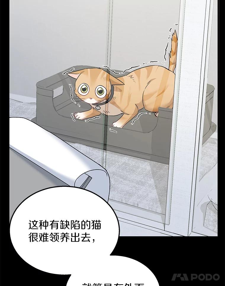 《你好？兽医先生！》7.小流浪甜甜 第31页