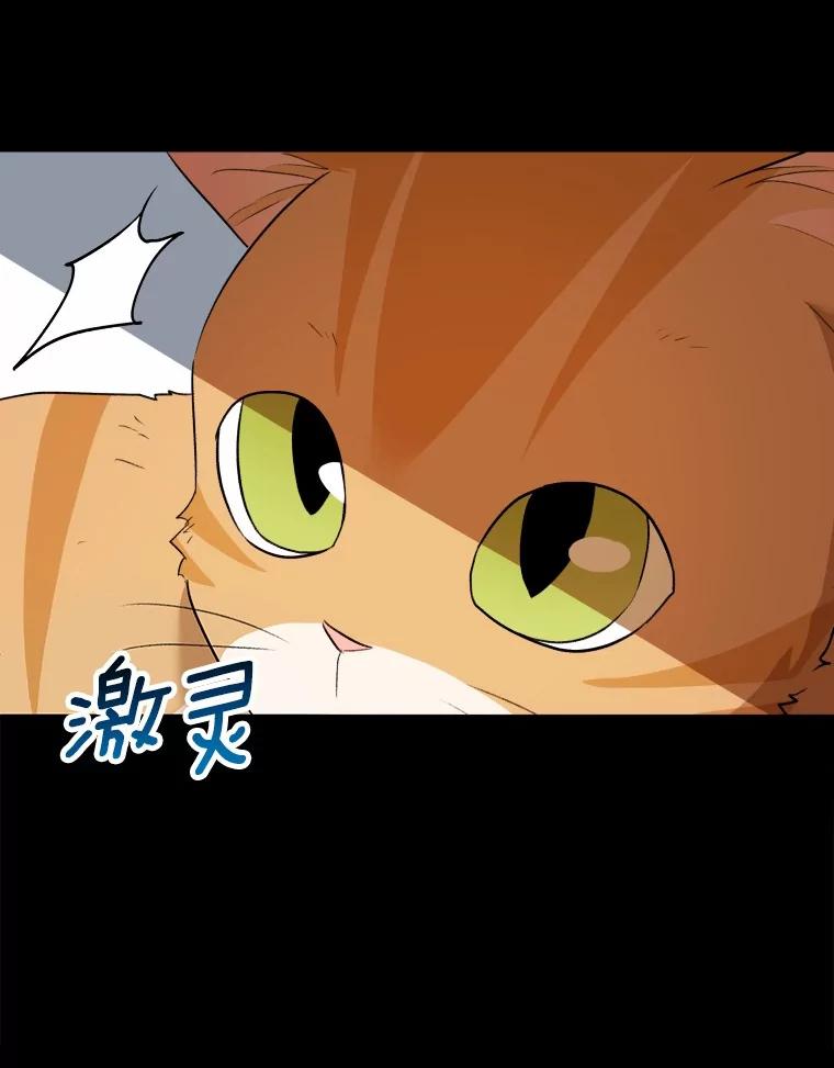 《你好？兽医先生！》8.重获新生 第24页