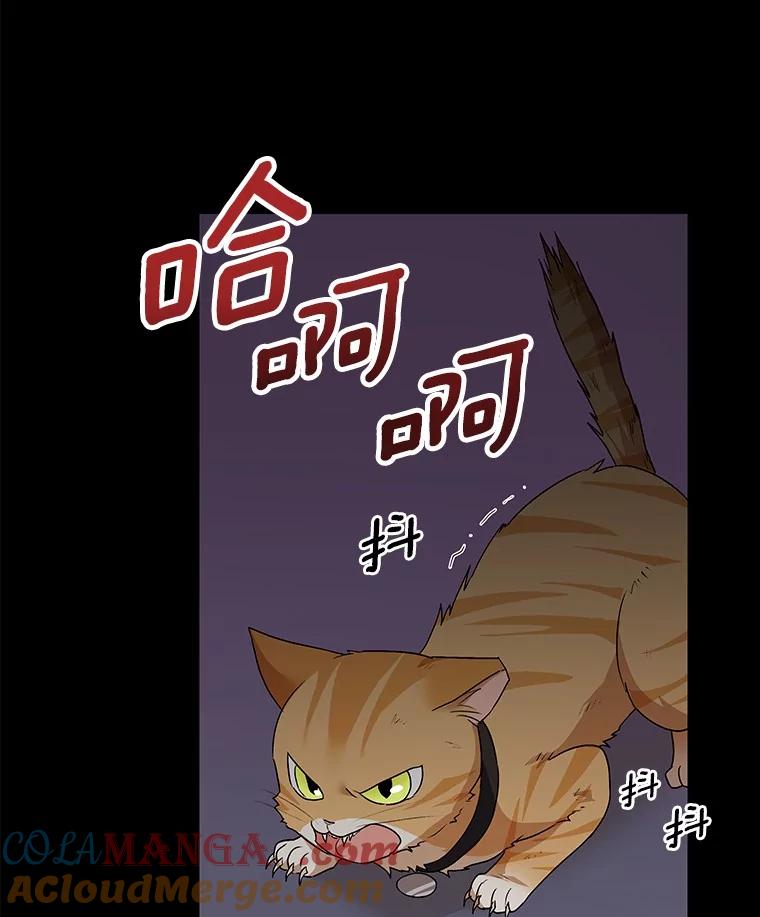 《你好？兽医先生！》8.重获新生 第45页