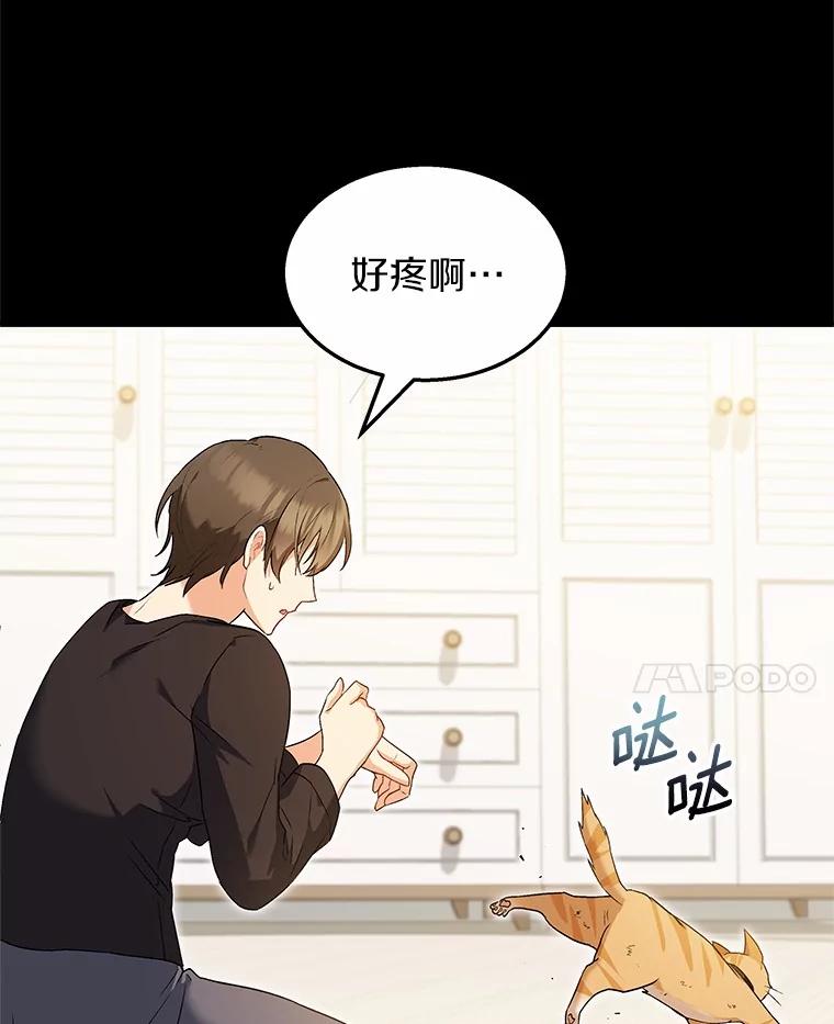 《你好？兽医先生！》8.重获新生 第42页