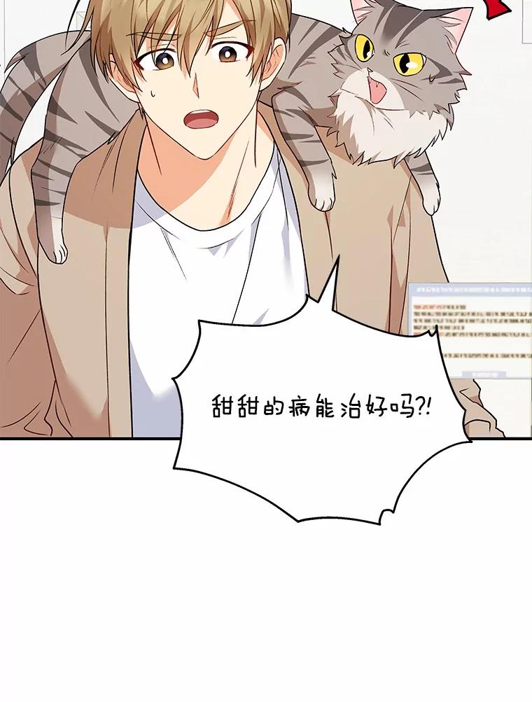 《你好？兽医先生！》8.重获新生 第6页