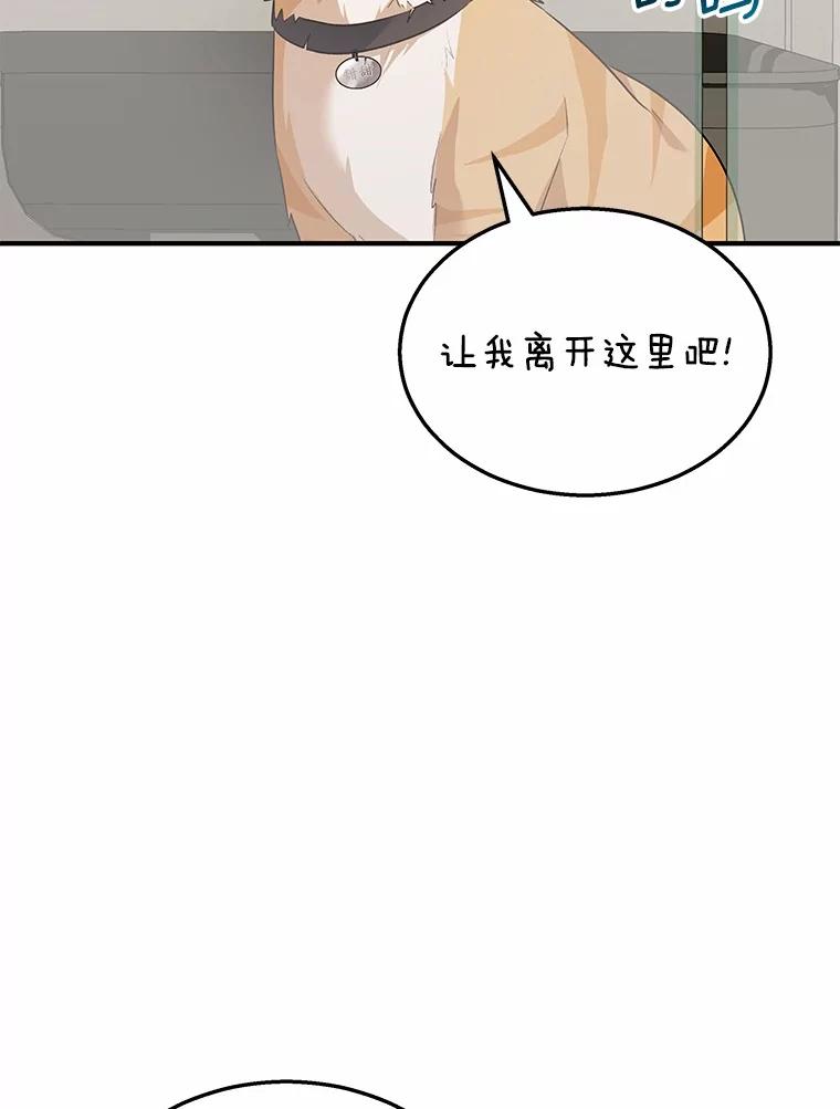 《你好？兽医先生！》8.重获新生 第2页