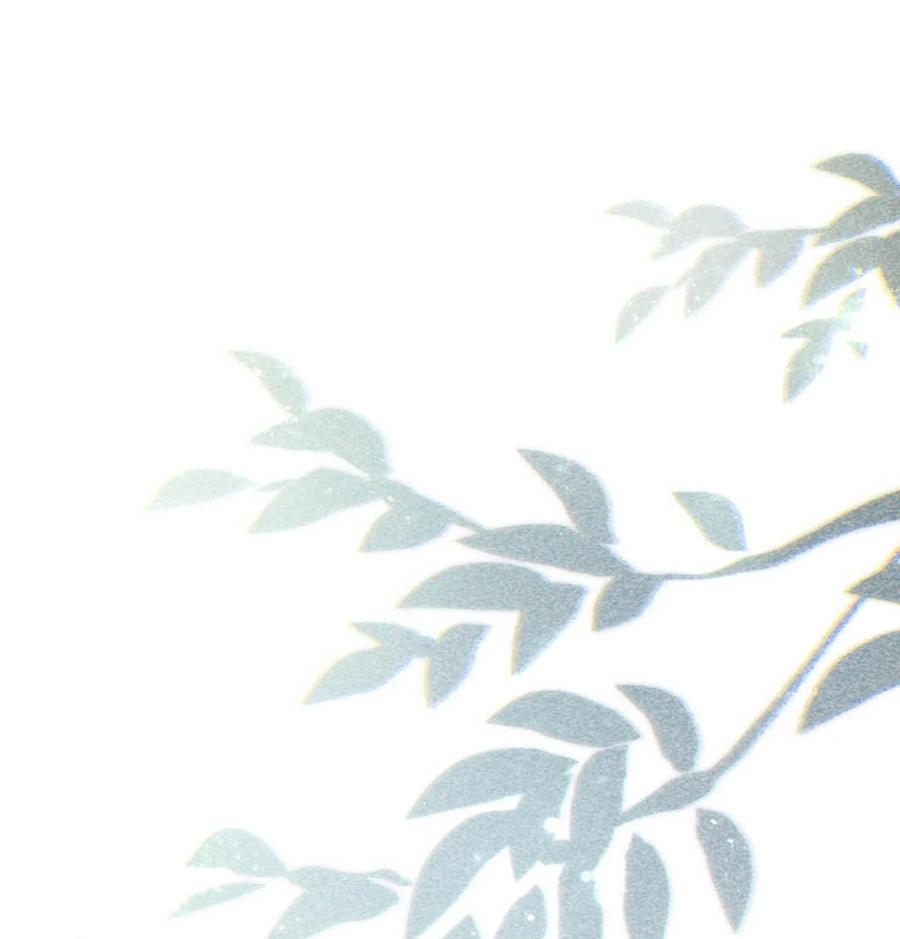 溺酒 完结番外5 林琛篇（完结） 第38页